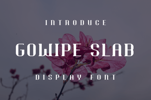 Gowipe Slab: The Ultimate Display Font for Scroll-Stopping Campaigns