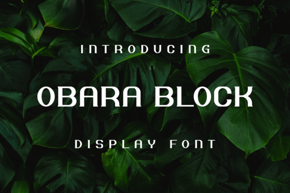 Obara Block: The Ultimate Display Font for Bold Projects